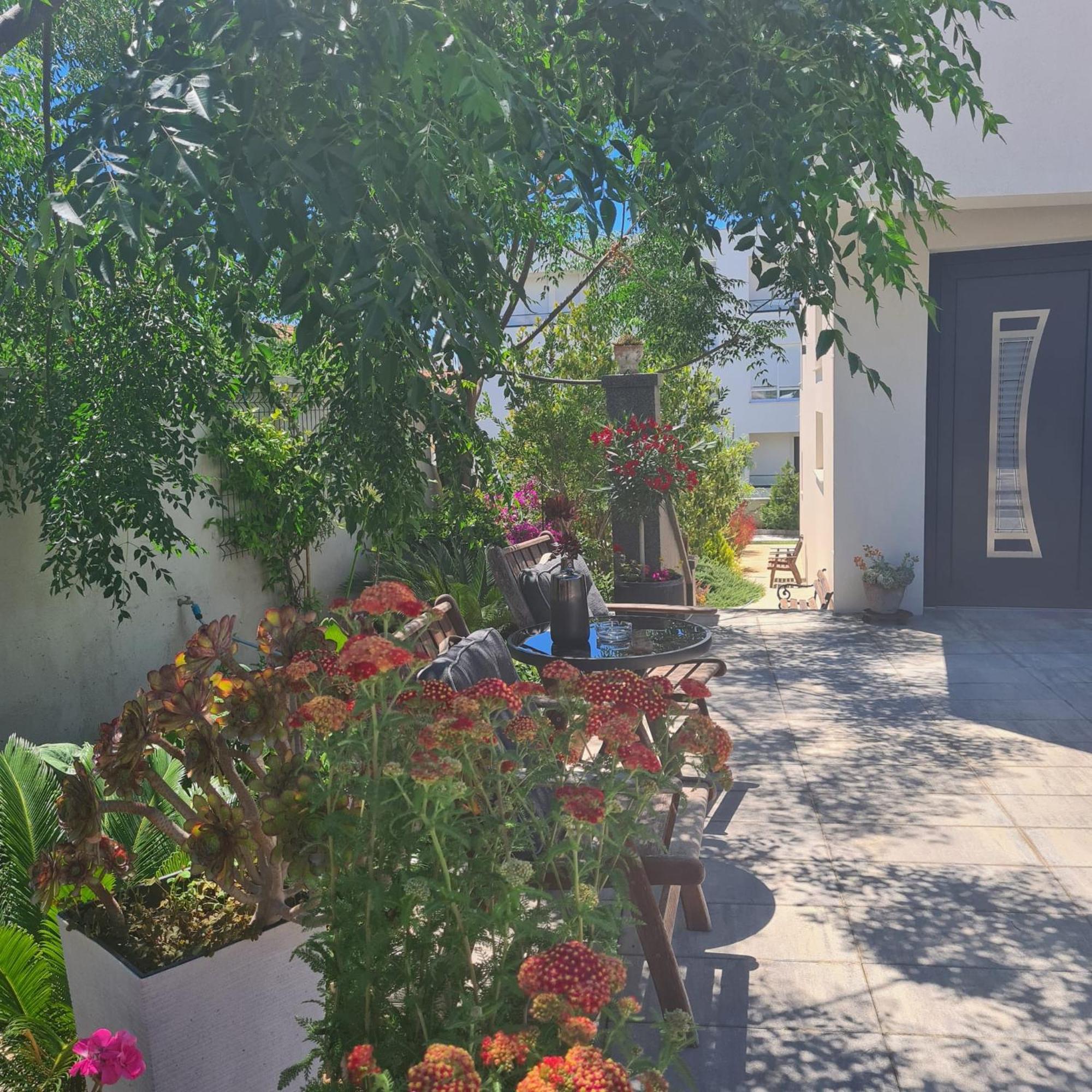 Villa Queen Ζαντάρ Εξωτερικό φωτογραφία